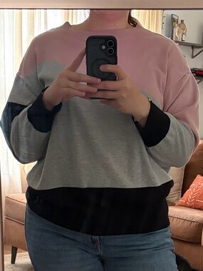 Poppy & Whimsy Colorblock Crewneck Sweater Pink Gray Black 2XL JSW1070P-A
